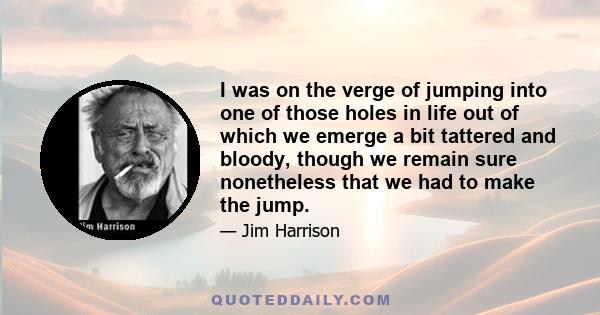 I was on the verge of jumping into one of those holes in life out of which we emerge a bit tattered and bloody, though we remain sure nonetheless that we had to make the jump.