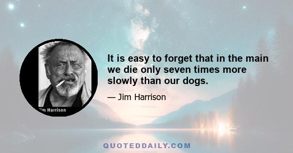 It is easy to forget that in the main we die only seven times more slowly than our dogs.