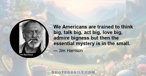 We Americans are trained to think big, talk big, act big, love big, admire bigness but then the essential mystery is in the small.