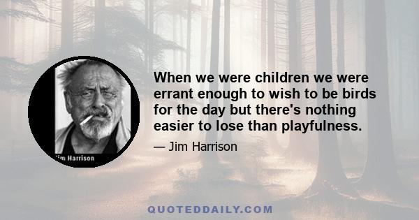 When we were children we were errant enough to wish to be birds for the day but there's nothing easier to lose than playfulness.