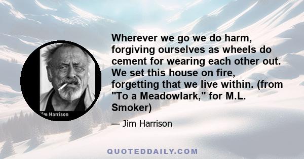 Wherever we go we do harm, forgiving ourselves as wheels do cement for wearing each other out. We set this house on fire, forgetting that we live within. (from To a Meadowlark, for M.L. Smoker)