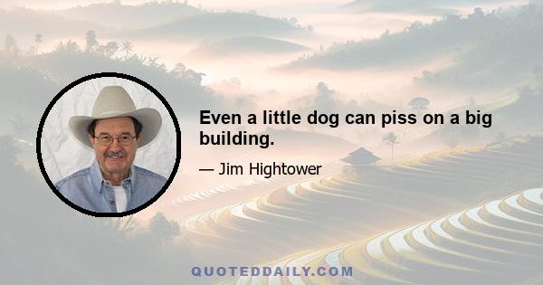 Even a little dog can piss on a big building.