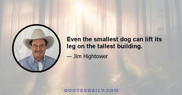 Even the smallest dog can lift its leg on the tallest building.