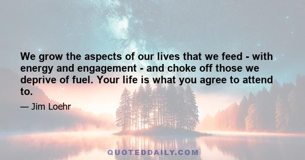 We grow the aspects of our lives that we feed - with energy and engagement - and choke off those we deprive of fuel. Your life is what you agree to attend to.