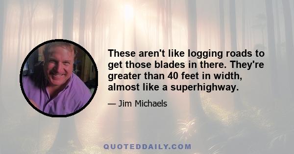 These aren't like logging roads to get those blades in there. They're greater than 40 feet in width, almost like a superhighway.