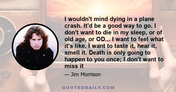 I wouldn't mind dying in a plane crash. It'd be a good way to go. I don't want to die in my sleep, or of old age, or OD... I want to feel what it's like. I want to taste it, hear it, smell it. Death is only going to