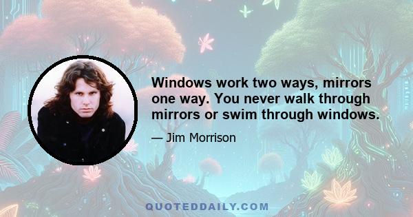 Windows work two ways, mirrors one way. You never walk through mirrors or swim through windows.