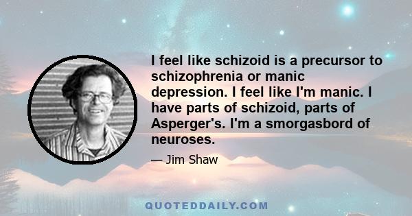 I feel like schizoid is a precursor to schizophrenia or manic depression. I feel like I'm manic. I have parts of schizoid, parts of Asperger's. I'm a smorgasbord of neuroses.