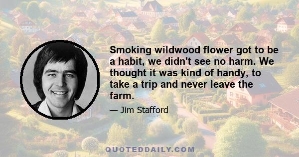 Smoking wildwood flower got to be a habit, we didn't see no harm. We thought it was kind of handy, to take a trip and never leave the farm.