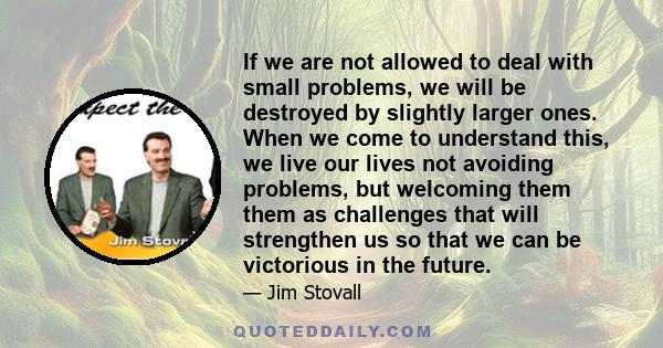 If we are not allowed to deal with small problems, we will be destroyed by slightly larger ones. When we come to understand this, we live our lives not avoiding problems, but welcoming them them as challenges that will