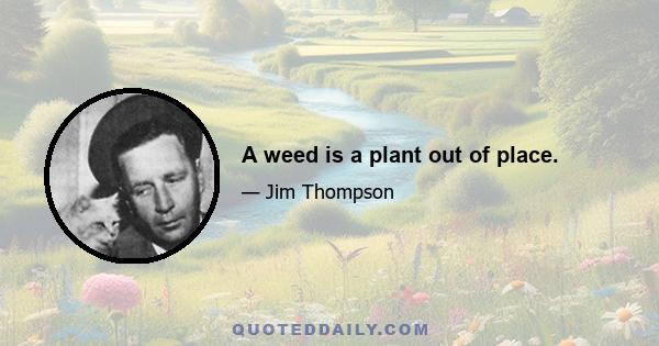 A weed is a plant out of place.