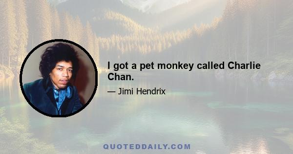 I got a pet monkey called Charlie Chan.