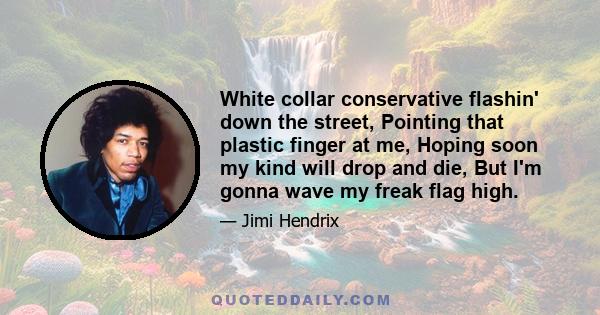 White collar conservative flashin' down the street, Pointing that plastic finger at me, Hoping soon my kind will drop and die, But I'm gonna wave my freak flag high.