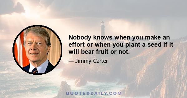 Nobody knows when you make an effort or when you plant a seed if it will bear fruit or not.