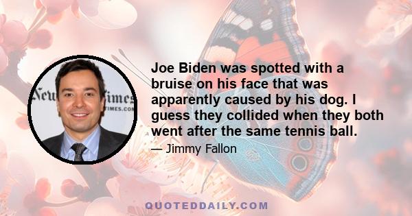 Joe Biden was spotted with a bruise on his face that was apparently caused by his dog. I guess they collided when they both went after the same tennis ball.