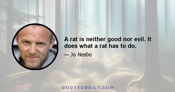 A rat is neither good nor evil. It does what a rat has to do.