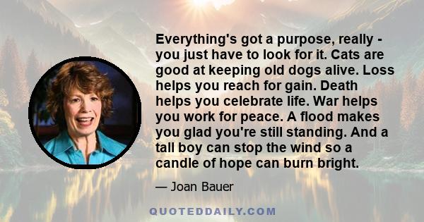 Everything's got a purpose, really - you just have to look for it. Cats are good at keeping old dogs alive. Loss helps you reach for gain. Death helps you celebrate life. War helps you work for peace. A flood makes you