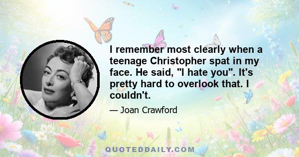 I remember most clearly when a teenage Christopher spat in my face. He said, I hate you. It's pretty hard to overlook that. I couldn't.