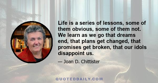 Life is a series of lessons, some of them obvious, some of them not. We learn as we go that dreams end, that plans get changed, that promises get broken, that our idols disappoint us.