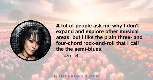 A lot of people ask me why I don't expand and explore other musical areas, but I like the plain three- and four-chord rock-and-roll that I call the the semi-blues.