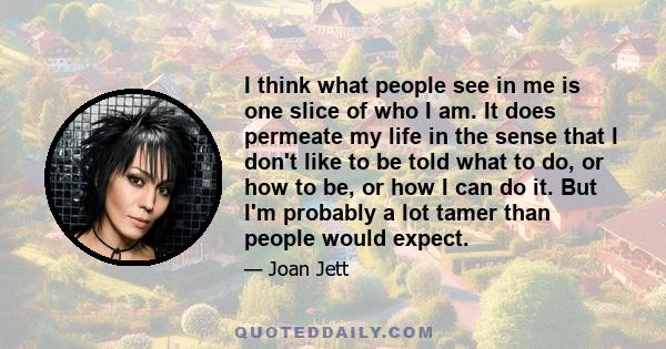 I think what people see in me is one slice of who I am. It does permeate my life in the sense that I don't like to be told what to do, or how to be, or how I can do it. But I'm probably a lot tamer than people would