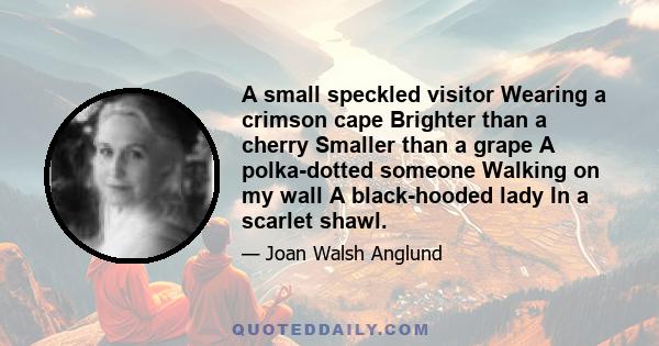 A small speckled visitor Wearing a crimson cape Brighter than a cherry Smaller than a grape A polka-dotted someone Walking on my wall A black-hooded lady In a scarlet shawl.