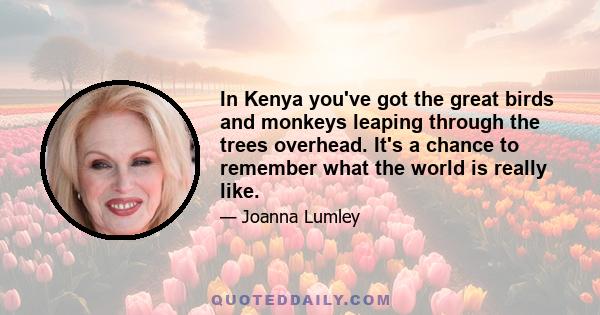 In Kenya you've got the great birds and monkeys leaping through the trees overhead. It's a chance to remember what the world is really like.