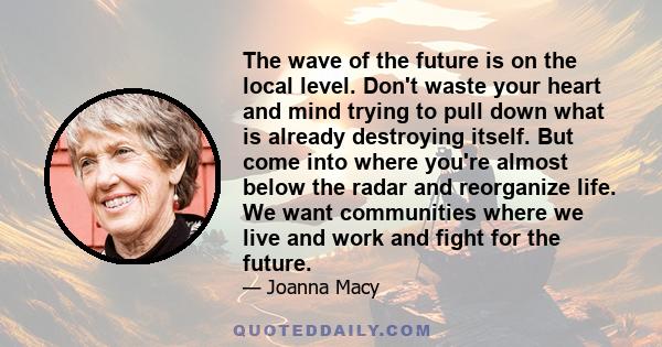 The wave of the future is on the local level. Don't waste your heart and mind trying to pull down what is already destroying itself. But come into where you're almost below the radar and reorganize life. We want