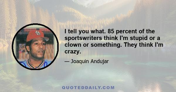 I tell you what. 85 percent of the sportswriters think I'm stupid or a clown or something. They think I'm crazy.