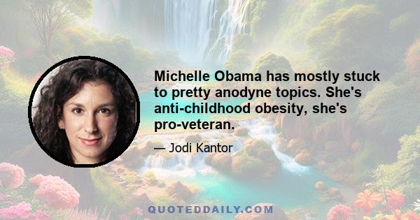 Michelle Obama has mostly stuck to pretty anodyne topics. She's anti-childhood obesity, she's pro-veteran.