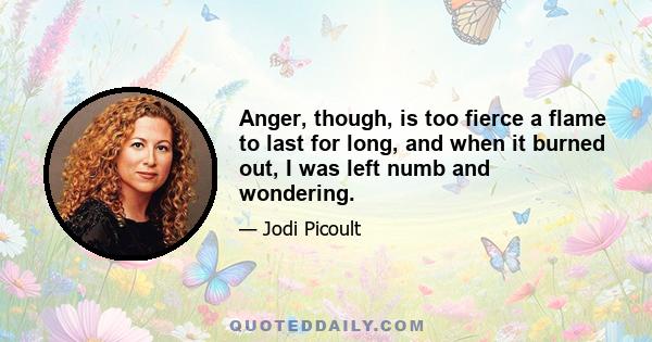 Anger, though, is too fierce a flame to last for long, and when it burned out, I was left numb and wondering.