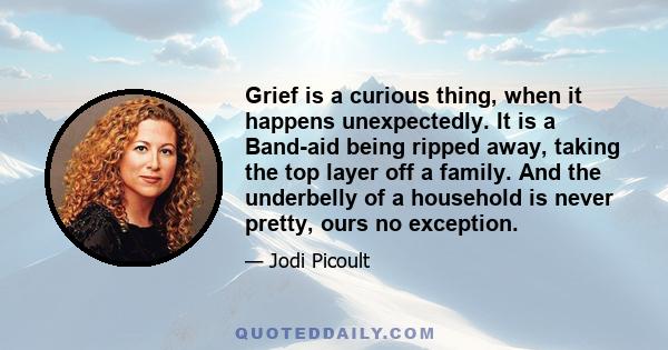 Grief is a curious thing, when it happens unexpectedly. It is a Band-Aid being ripped away, taking the top layer off a family. And the underbelly of a household is never pretty, ours no exception. There were times I