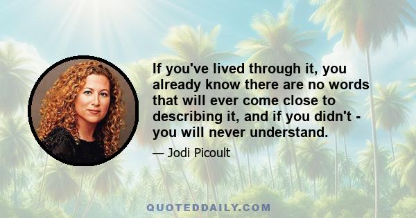 If you've lived through it, you already know there are no words that will ever come close to describing it, and if you didn't - you will never understand.