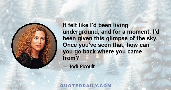 It felt like I'd been living underground, and for a moment, I'd been given this glimpse of the sky. Once you've seen that, how can you go back where you came from?