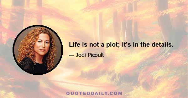 Life is not a plot; it's in the details.