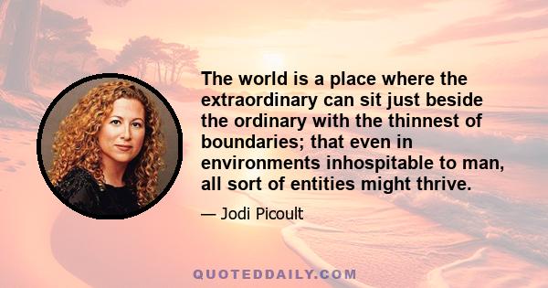 The world is a place where the extraordinary can sit just beside the ordinary with the thinnest of boundaries; that even in environments inhospitable to man, all sort of entities might thrive.