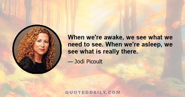 When we're awake, we see what we need to see. When we're asleep, we see what is really there.