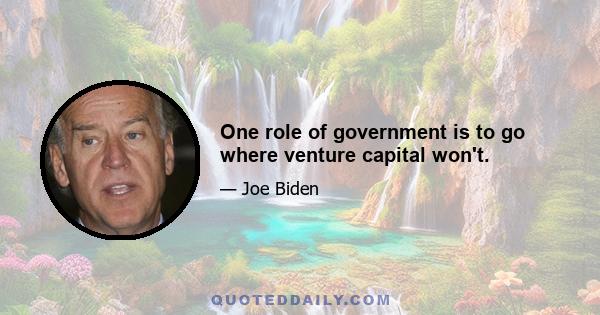 One role of government is to go where venture capital won't.