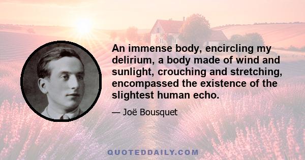 An immense body, encircling my delirium, a body made of wind and sunlight, crouching and stretching, encompassed the existence of the slightest human echo.