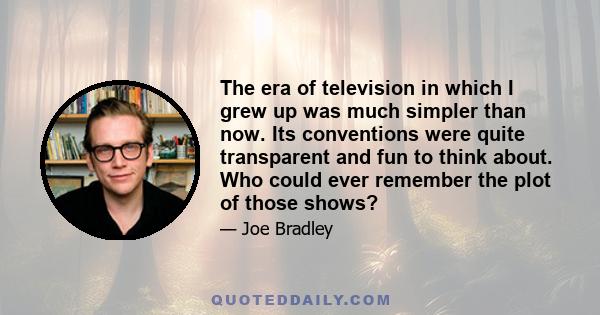 The era of television in which I grew up was much simpler than now. Its conventions were quite transparent and fun to think about. Who could ever remember the plot of those shows?