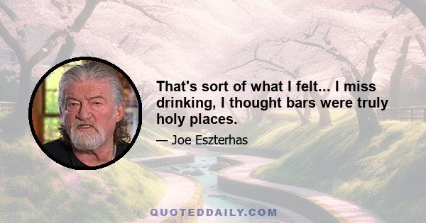 That's sort of what I felt... I miss drinking, I thought bars were truly holy places.