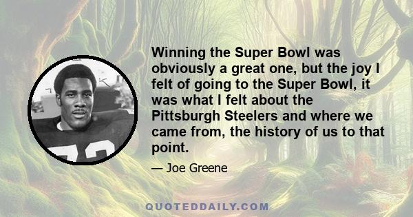 Winning the Super Bowl was obviously a great one, but the joy I felt of going to the Super Bowl, it was what I felt about the Pittsburgh Steelers and where we came from, the history of us to that point.