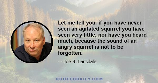 Let me tell you, if you have never seen an agitated squirrel you have seen very little, nor have you heard much, because the sound of an angry squirrel is not to be forgotten.