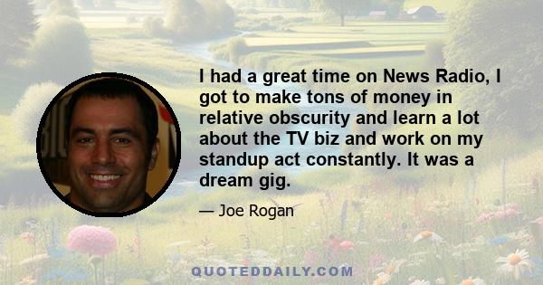 I had a great time on News Radio, I got to make tons of money in relative obscurity and learn a lot about the TV biz and work on my standup act constantly. It was a dream gig.