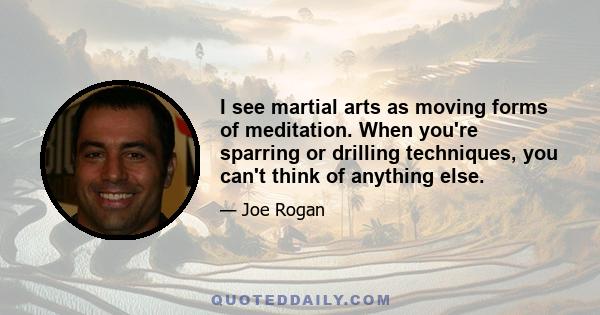 I see martial arts as moving forms of meditation. When you're sparring or drilling techniques, you can't think of anything else.