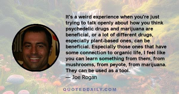 It's a weird experience when you're just trying to talk openly about how you think psychedelic drugs and marijuana are beneficial, or a lot of different drugs, especially plant-based ones, can be beneficial. Especially