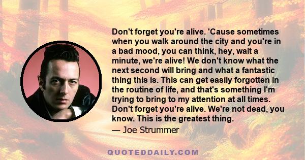 Don't forget you're alive. 'Cause sometimes when you walk around the city and you're in a bad mood, you can think, hey, wait a minute, we're alive! We don't know what the next second will bring and what a fantastic