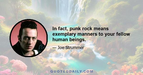 In fact, punk rock means exemplary manners to your fellow human beings.