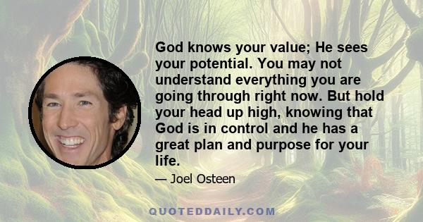 God knows your value; He sees your potential. You may not understand everything you are going through right now. But hold your head up high, knowing that God is in control and he has a great plan and purpose for your