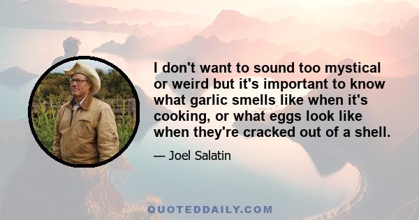 I don't want to sound too mystical or weird but it's important to know what garlic smells like when it's cooking, or what eggs look like when they're cracked out of a shell.